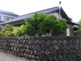 97832c21.jpg
