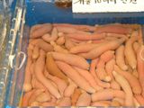 �ڹ���ι��11