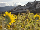 CIMG4347