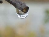 CIMG4337
