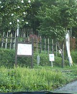 050727-065257.jpg