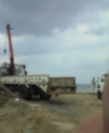 313820c8.jpg