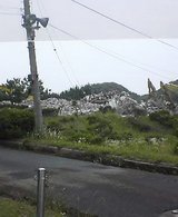 050614-164355.jpg