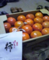 7a305e3f.jpg
