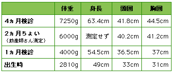 おちびの記録修正版