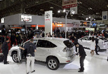 6c506de3.jpg