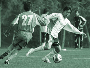 inui01.jpg