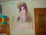 6fb8a2b1.