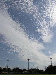 20090923