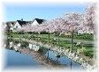 ニュージーランドの大学で日本語教師就職IPC