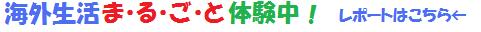 �������ȥ�ꥢ����ޤ뤴���θ��ץ������ᥪ�����ȥ�ꥢ���ܸ춵�ե����������α���θ���