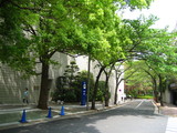 ���䣲