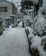e5274818.jpg