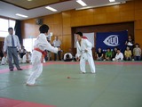 066931a5.jpg