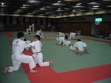 13dff724.jpg