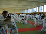 14e7f3f5.jpg