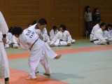 2ac40495.jpg