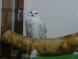 37f7de73.jpg