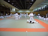 402ffd98.jpg