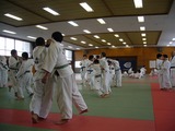 4ff10694.jpg