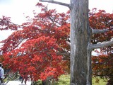 55b237f7.jpg