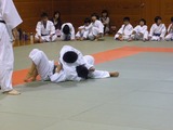 6e1419d8.jpg