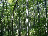 6f344b9c.jpg
