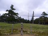 85b28b1a.jpg