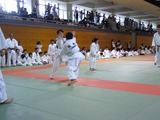 883736fa.jpg