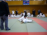 8afe303c.jpg