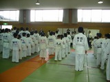 8e005d6a.jpg