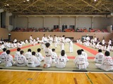 94d06146.jpg