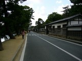 a97338a5.jpg