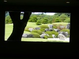 d3060e90.jpg