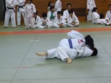 d936c53e.jpg