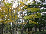 f45a4b82.jpg