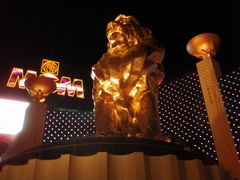 MGM¥é¥¤¥ª¥óÁü2