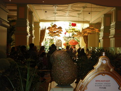 Wynn�Хե�