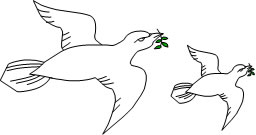 20070227