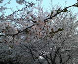 8df07229.jpg