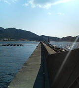 c942f524.jpg