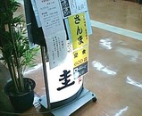���������ӥ� Ω�����߽� �� ����