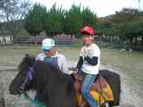 PHOTO001 ポニー