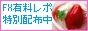 有料レポ特別配布中