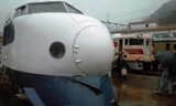 08734f9e.jpg