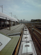 1b855641.jpg