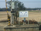DSCF5246