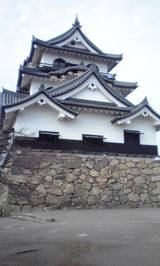 36c00e59.jpg
