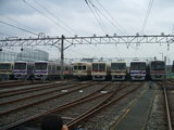 49f6c56d.JPG