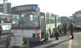 8233e765.jpg